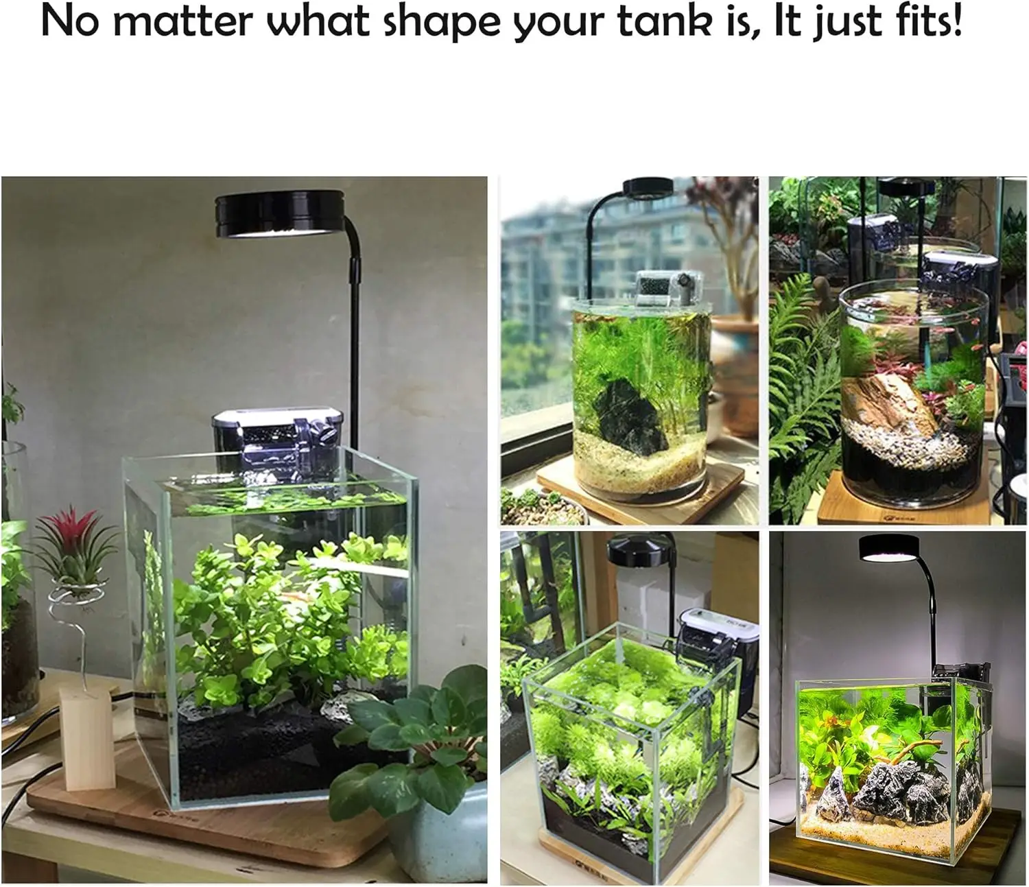 LED水族館グローライト 竹ボード付き 水族館ナノタンク、ベ - Planted Aquarium Betta のレビューと価格