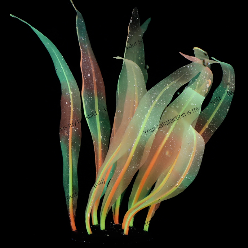 模擬昆布植物装飾水槽水族館水中世界シリコン昆布植物装飾複数の - Aquarium Plant Gel のレビューと価格