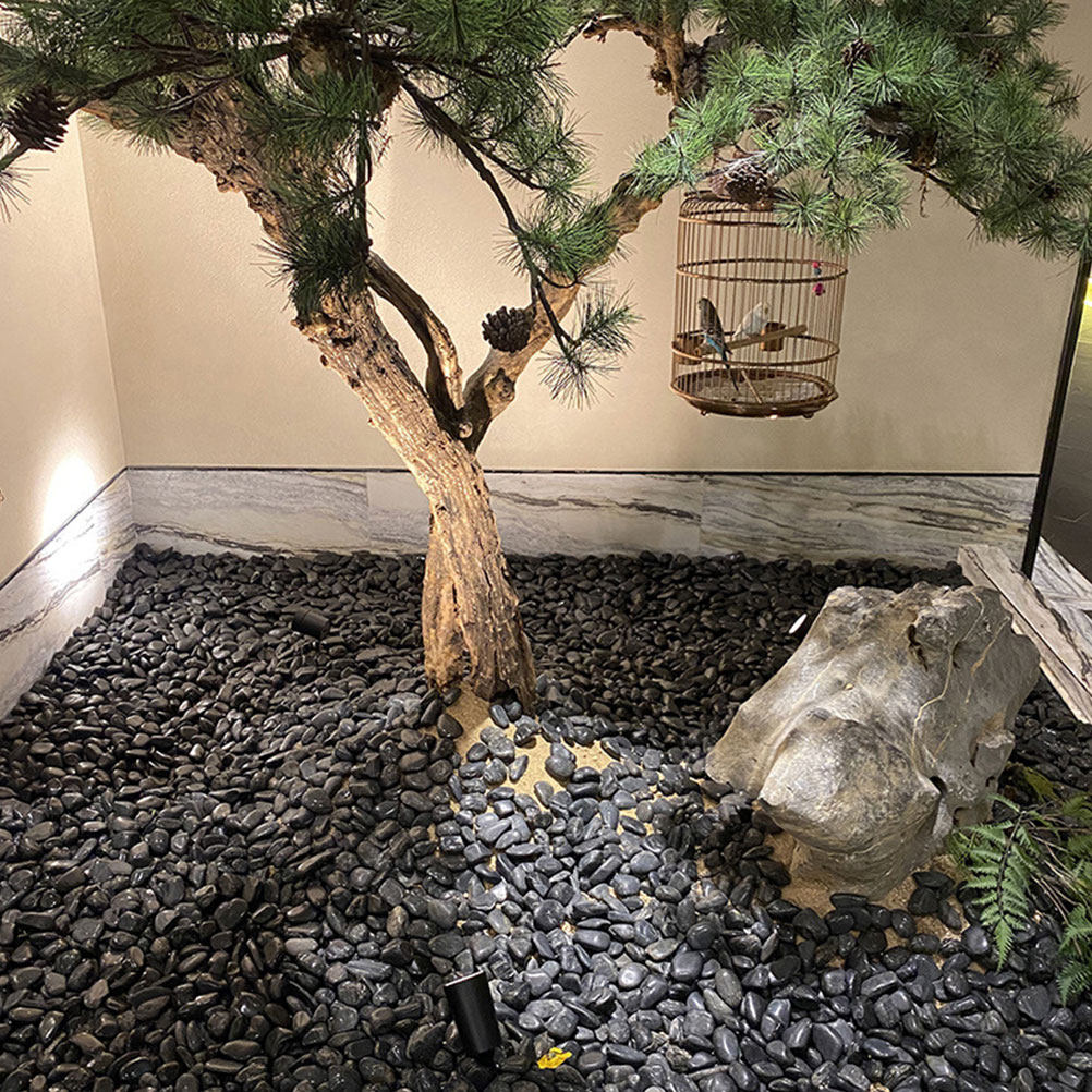 1セット 水槽用小石 天然造景石 黒色植木鉢装飾砂利 魚タン - Aquarium For Planted Tank のレビューと価格