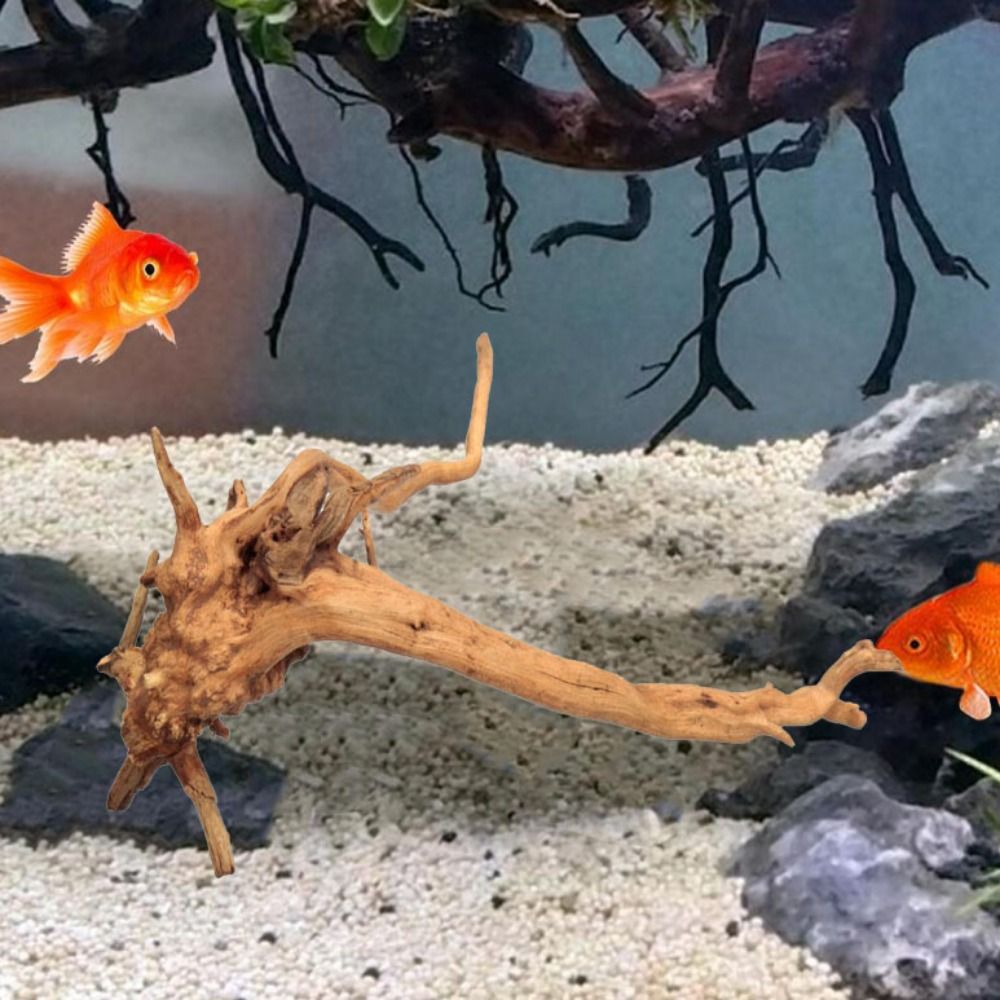 天然木のトランクの装飾水族館の装飾流木の枝造園の装飾品水槽の - Aquarium Plant Nursery のレビューと価格