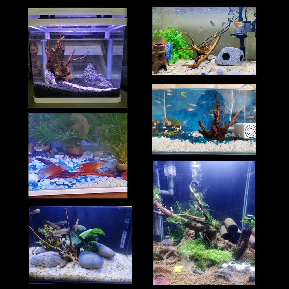 天然木のトランクの装飾水族館の装飾流木の枝造園の装飾品水槽の - Aquarium Plant Nursery のレビューと価格