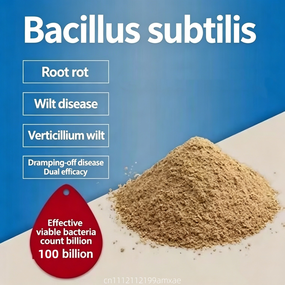 高活性バチルス・サブティリス粉末有機プロバイオティクス肥料（ - Aquarium Plant Fertilizer のレビューと価格