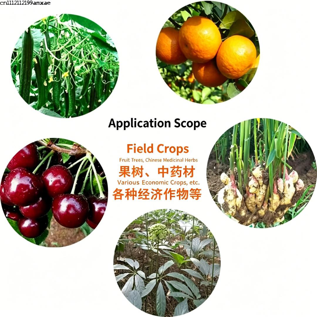 高活性バチルス・サブティリス粉末有機プロバイオティクス肥料（ - Aquarium Plant Fertilizer のレビューと価格