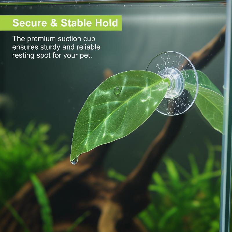 水槽アクセサリー 魚タンク ベタリーフ 魚の休憩場 結卵リー - Planted Aquarium Betta のレビューと価格