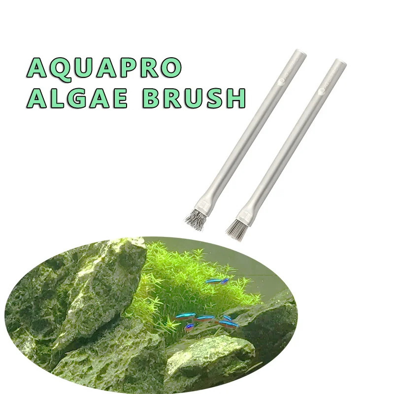 Aquapro 藻類ブラシクリーニングブラシ水槽と水族館ツー - Aquarium Plant Nursery のレビューと価格