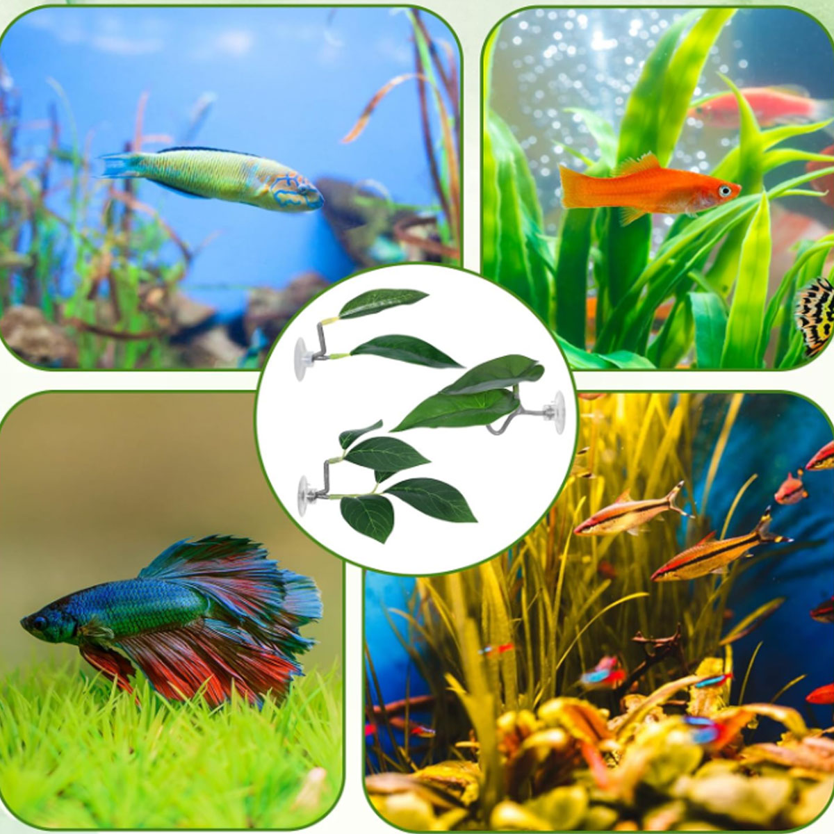 1 PC ベタフィッシュハンモック ソフト水槽装飾 プラスチ - Planted Aquarium Betta のレビューと価格