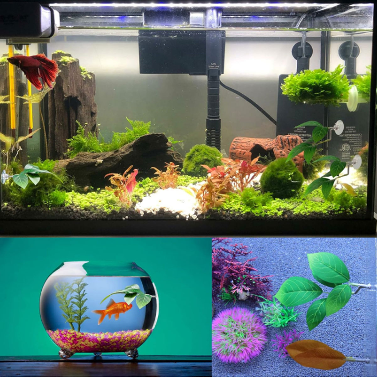 1 PC ベタフィッシュハンモック ソフト水槽装飾 プラスチ - Planted Aquarium Betta のレビューと価格