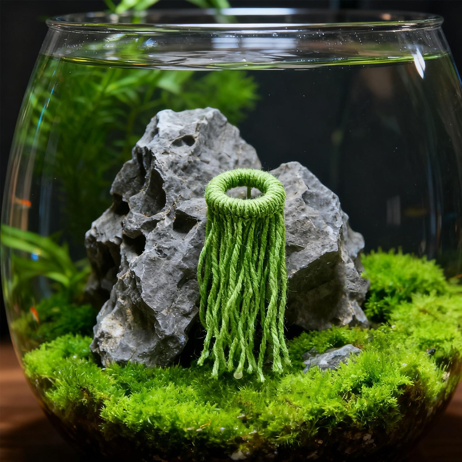 3個入りフローティング孵化場産卵モップ、魚水槽用産卵モップ、 - Aquarium Plant Grass のレビューと価格