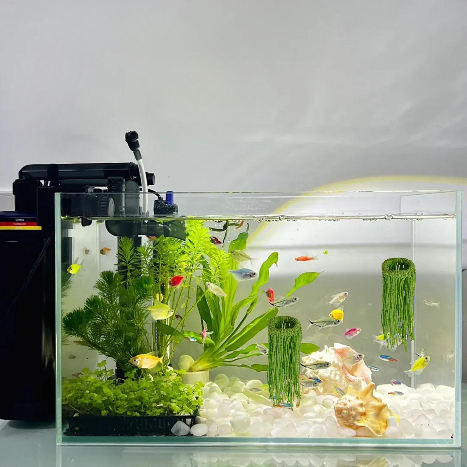 3個入りフローティング孵化場産卵モップ、魚水槽用産卵モップ、 - Aquarium Plant Grass のレビューと価格