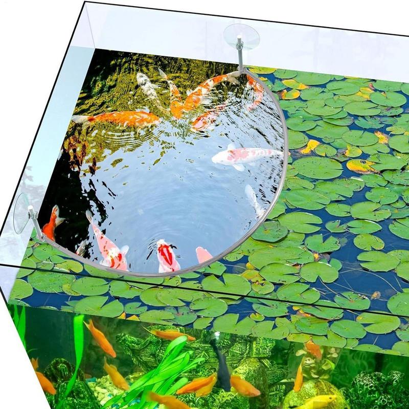 浮遊植物囲い魚の給餌リングは浮遊植物を分離して保護します給餌 - Planted Aquarium Parameters のレビューと価格
