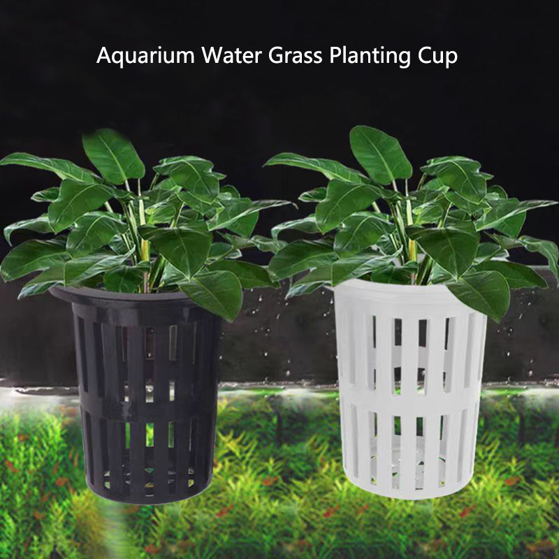 1/3 個水族館植物バスケット壁掛け水耕吊りプランター水槽水 - Aquarium Plant Nursery のレビューと価格