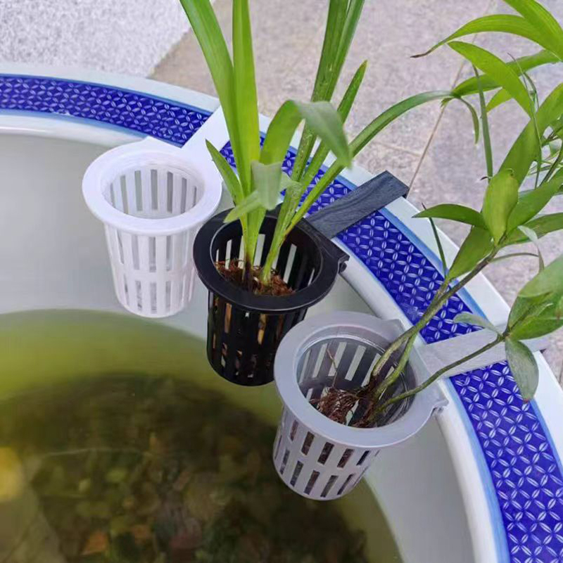1/3 個水族館植物バスケット壁掛け水耕吊りプランター水槽水 - Aquarium Plant Nursery のレビューと価格