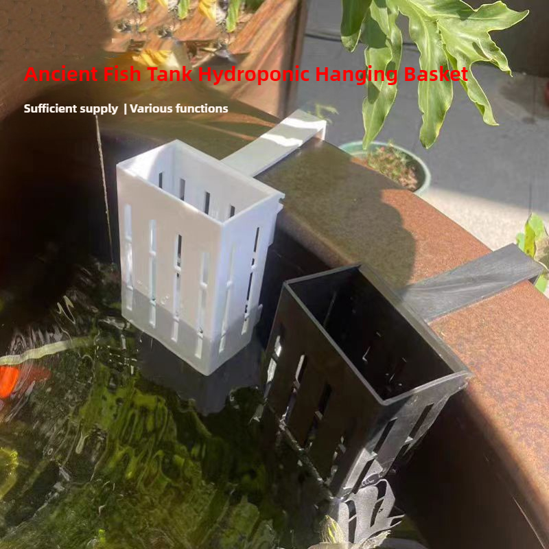 1/3 個水族館植物バスケット壁掛け水耕吊りプランター水槽水 - Aquarium Plant Nursery のレビューと価格