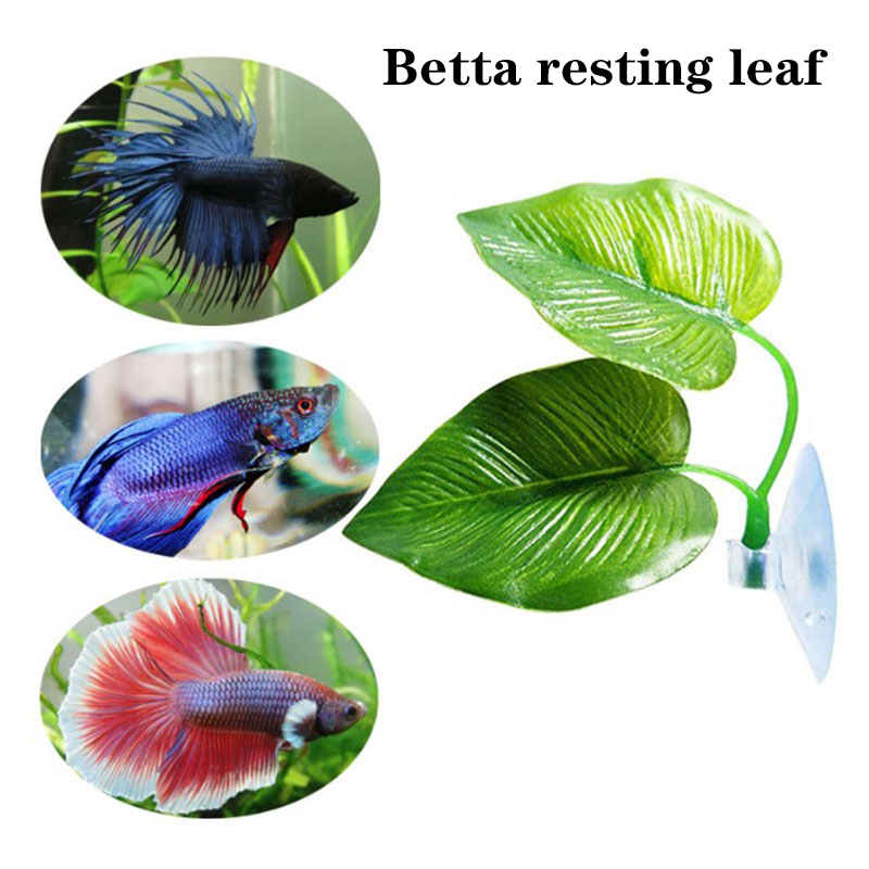 ベタ魚用休憩水槽葉っぱ飾り、繁殖用観賞植物、ベタ魚遊び用リラ - Planted Aquarium Betta のレビューと価格