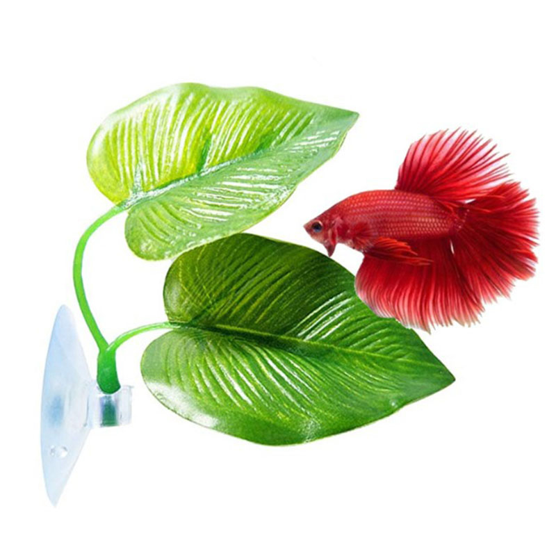 ベタ魚用休憩水槽葉っぱ飾り、繁殖用観賞植物、ベタ魚遊び用リラ - Planted Aquarium Betta のレビューと価格
