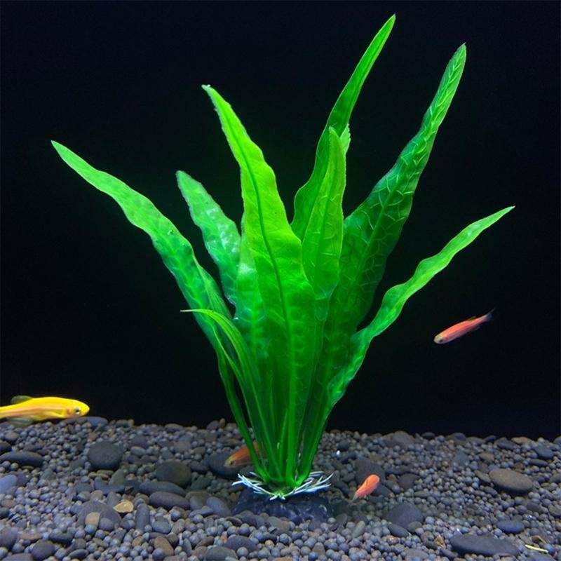 人工水植物人工水草水槽水族館の装飾植物水生植物水槽の装飾 - Aquarium Plant Grass のレビューと価格