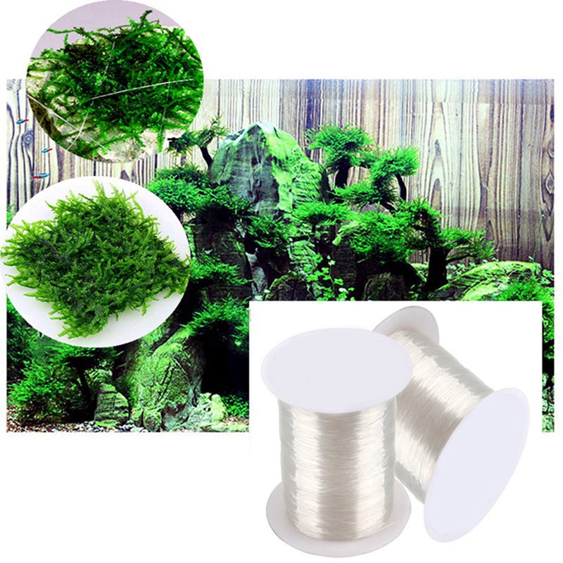 120 メートル DIY モスライン結合ライン超強力透明ナイ - Aquarium Plant Echinodorus のレビューと価格