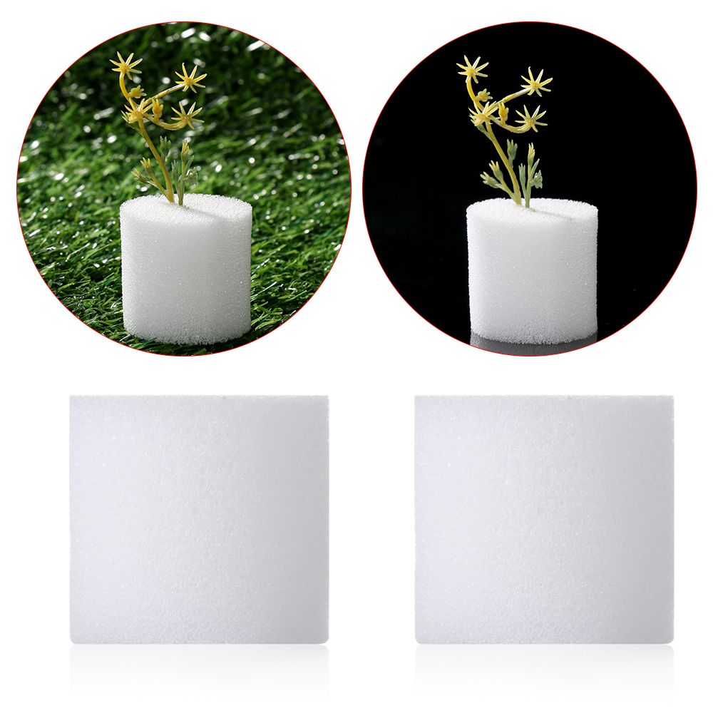 耐久性のあるガーデン用品,10/50個,保育園の植物,無水耕 - Aquarium Plant Seeds のレビューと価格
