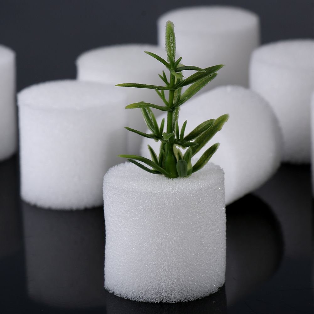 耐久性のあるガーデン用品,10/50個,保育園の植物,無水耕 - Aquarium Plant Seeds のレビューと価格