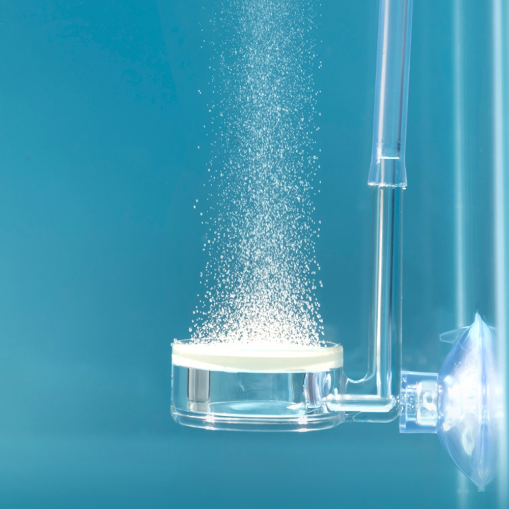 水族館の植物用ディフューザー1個、クリアCO2アトマイザー水 - Planted Aquarium Parameters のレビューと価格