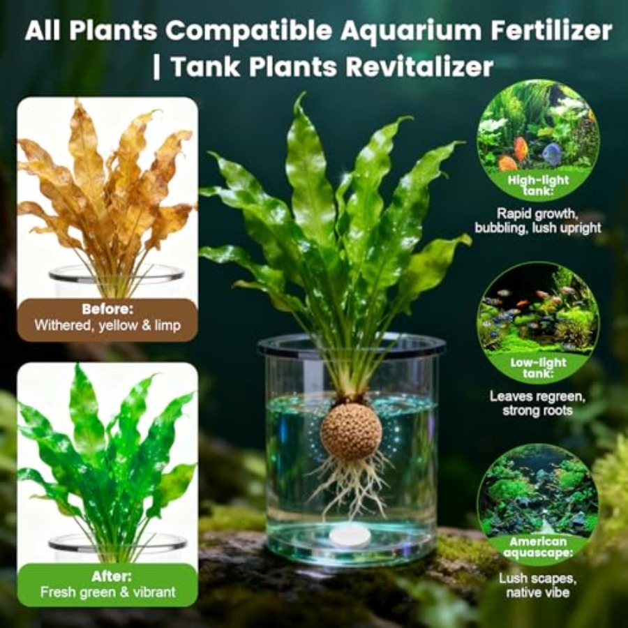 ルートタブ、水槽植物肥料、水槽水質ケアタブ、魚やエビに安全な - Aquarium Plant Fertilizer のレビューと価格