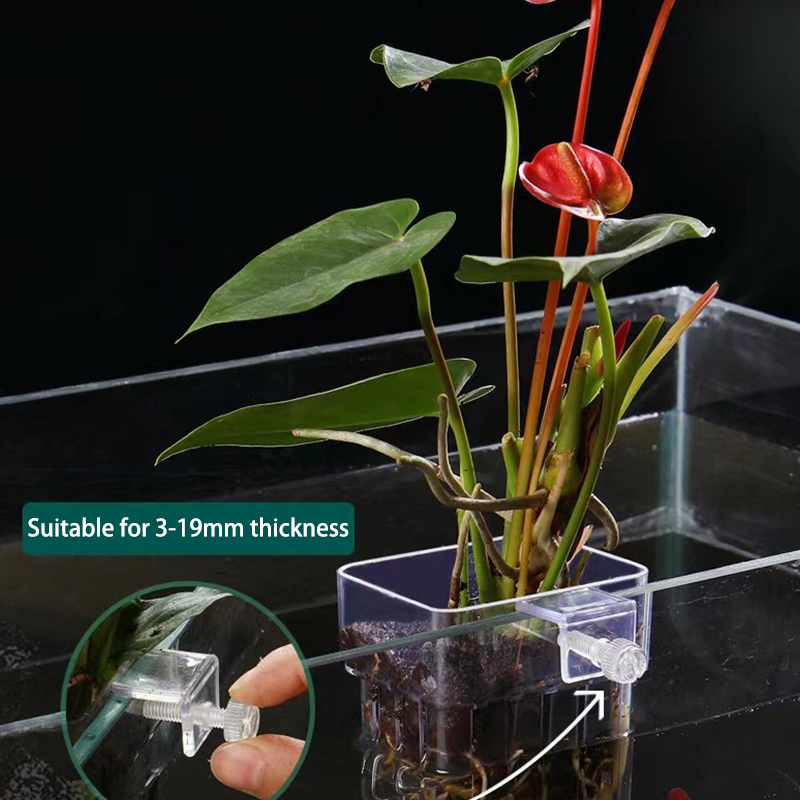 多機能フィッシュ水族館、水草植栽カップ、魚の分離ボックス、水 - Aquarium For Planted Tank のレビューと価格