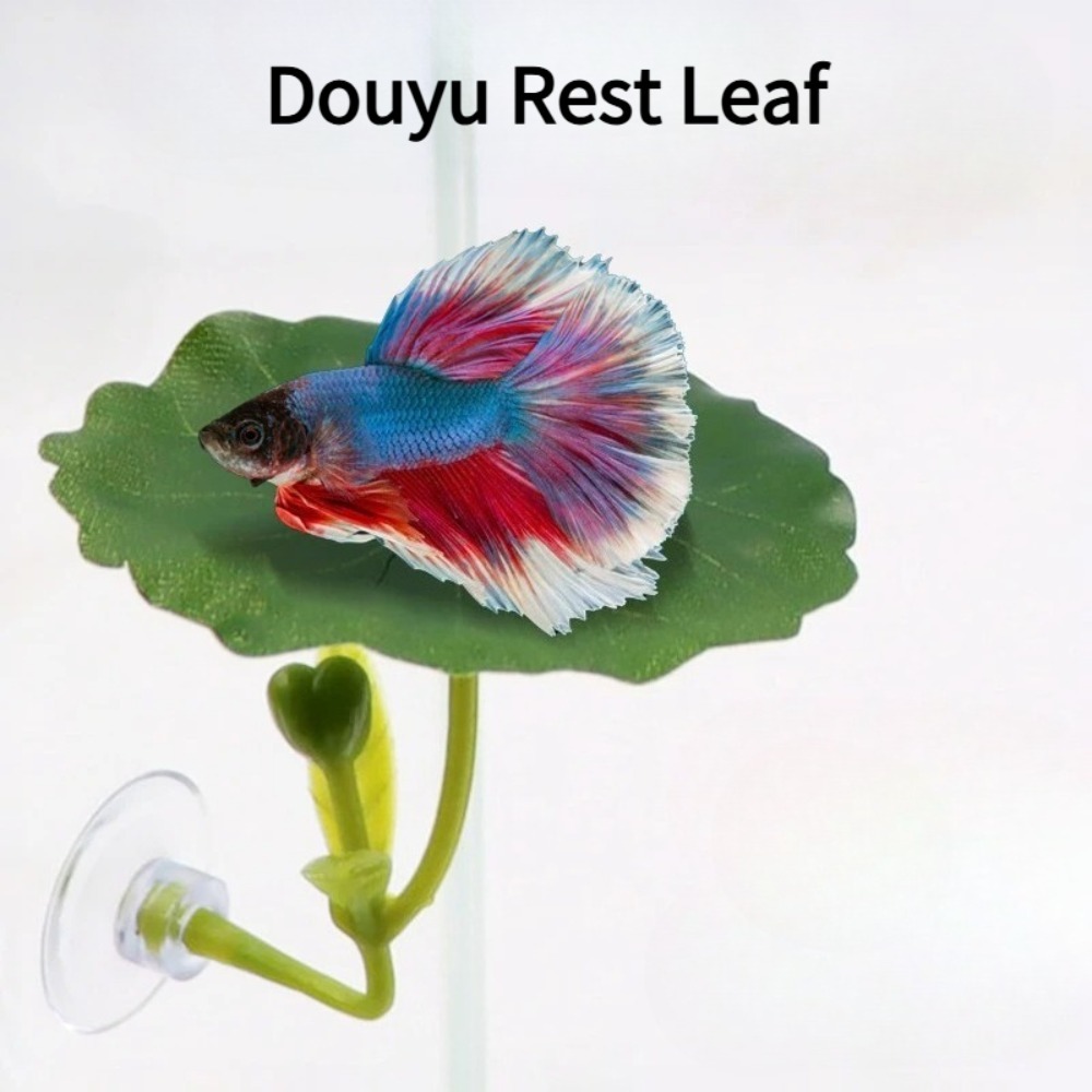 1個入りグリーンリーフベタフィッシュハンモック、ストレス軽減 - Planted Aquarium Betta のレビューと価格