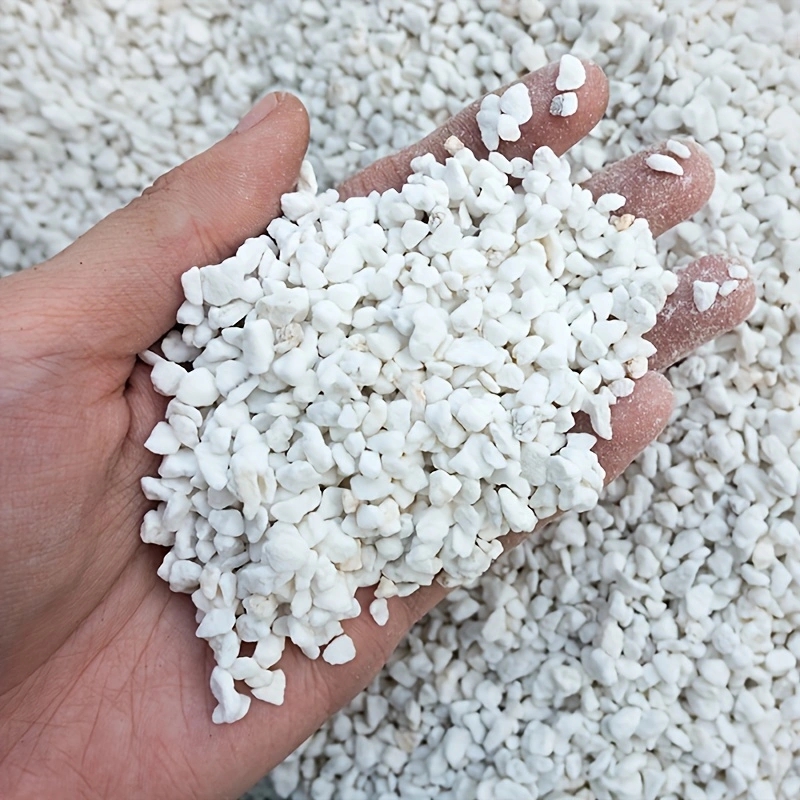 3-6mmの園芸用パーライト1パック、苗栽培、花の土、園芸用 - Tissue Culture Plant のレビューと価格