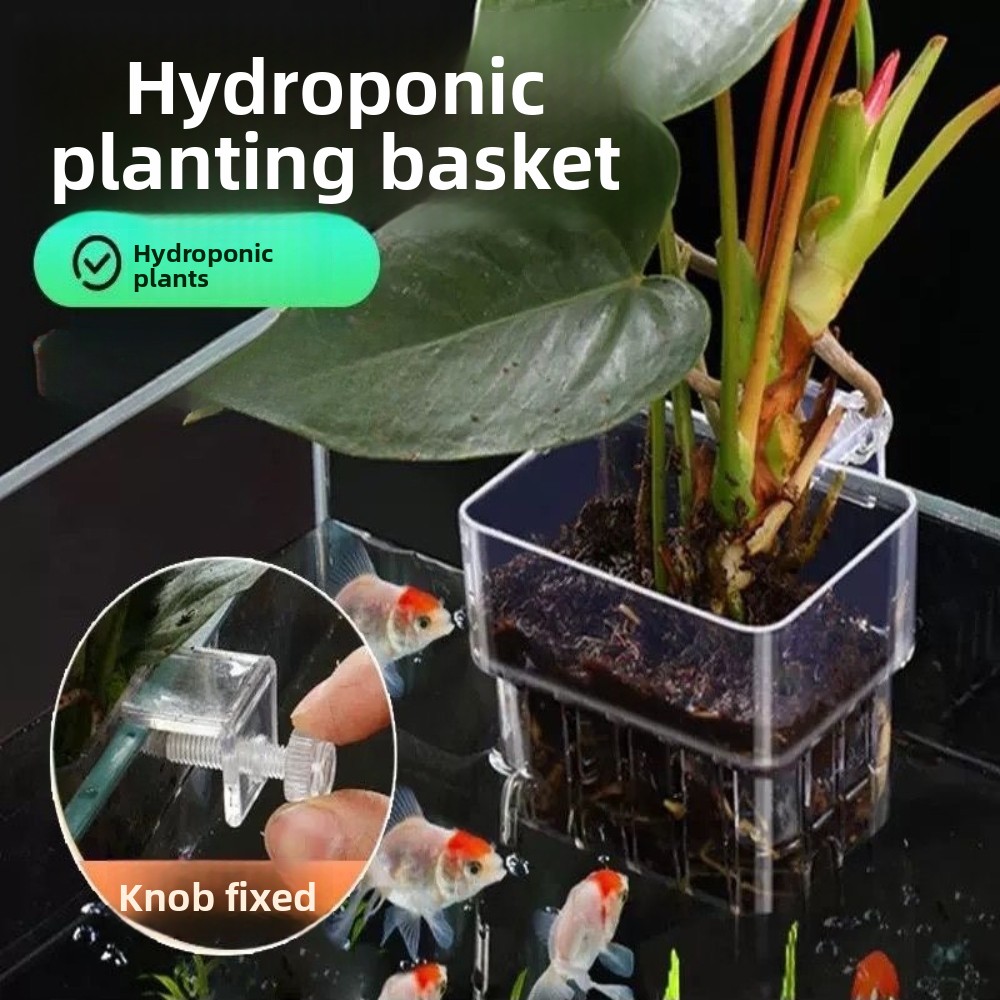 水槽水耕栽培用植木鉢 魚用バブルカップ 水草カップ 魚タンク - Aquarium Plant Grass のレビューと価格