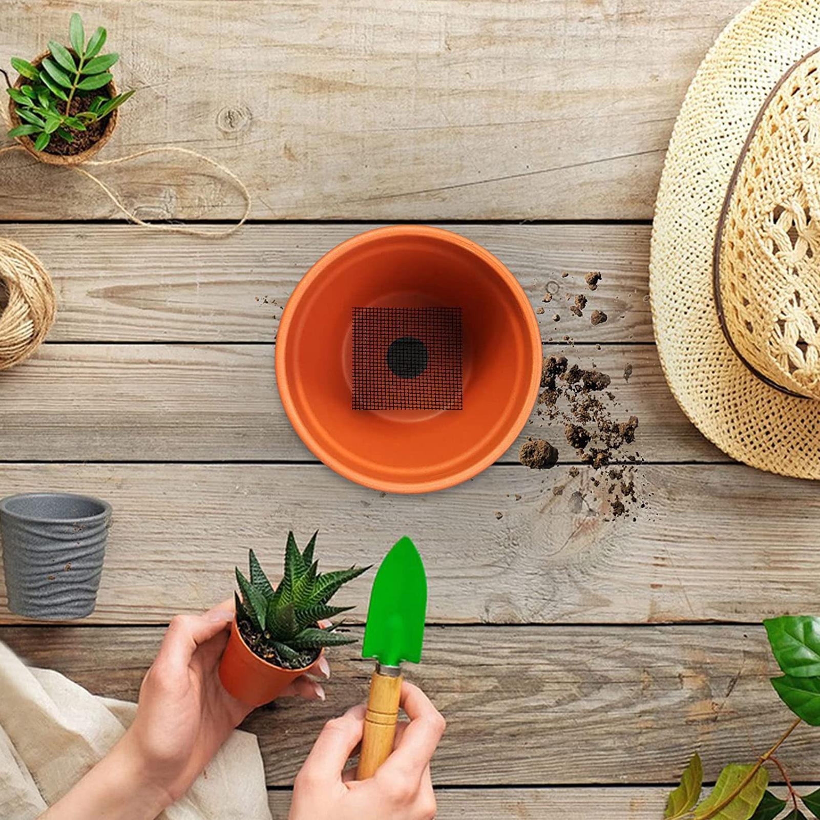 5個入り 花鉢用メッシュパッド 20x30cm 長方形 盆栽 - Tissue Culture Plant のレビューと価格