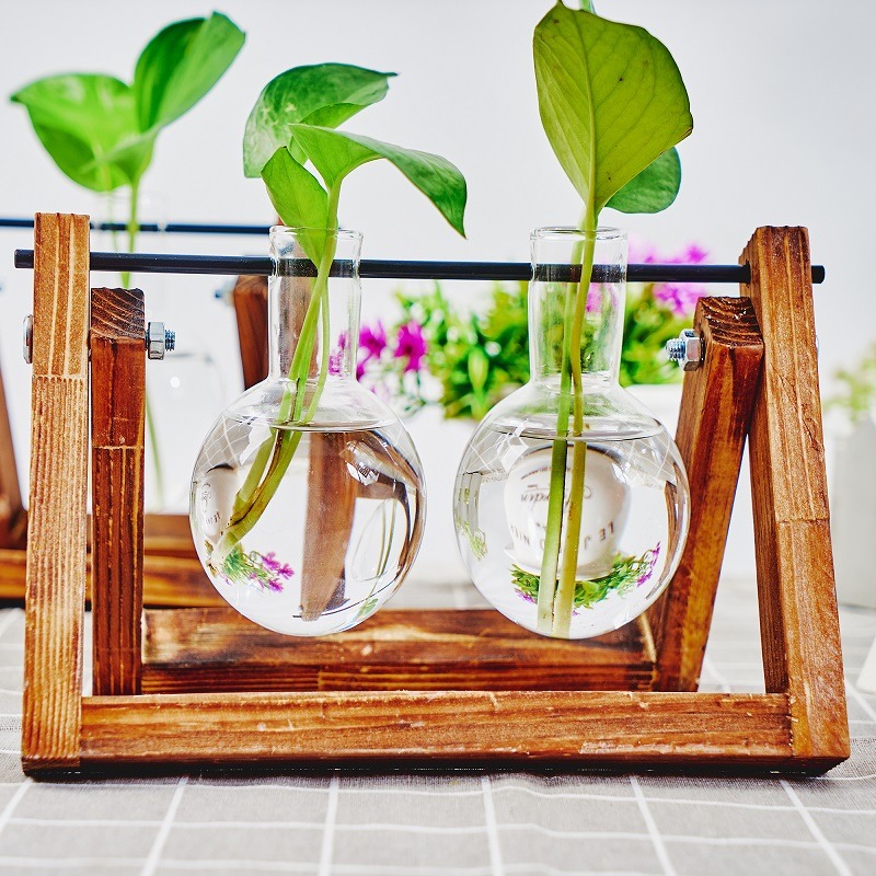 卓上ガラスプランター繁殖ステーション、植物用木製ラックテラリ - Tissue Culture Plant のレビューと価格