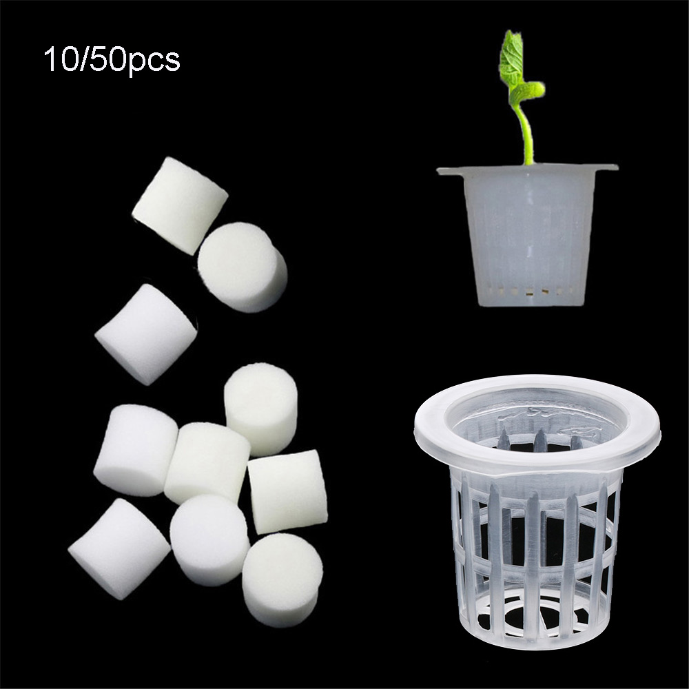 10/50 個耐久性のある植栽水族館無土壌水耕種子トレイ植栽 - Aquarium Plant Seeds のレビューと価格