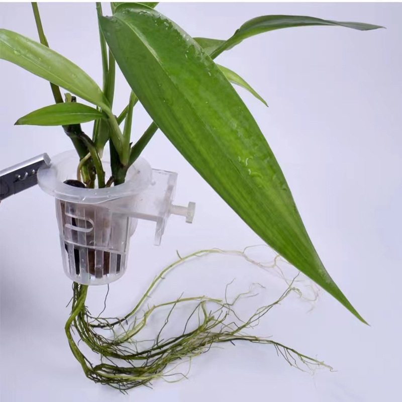 水槽、水族館の植栽バスケット、水グラスカップ、植物ホルダーの - Aquarium Plant Nursery のレビューと価格