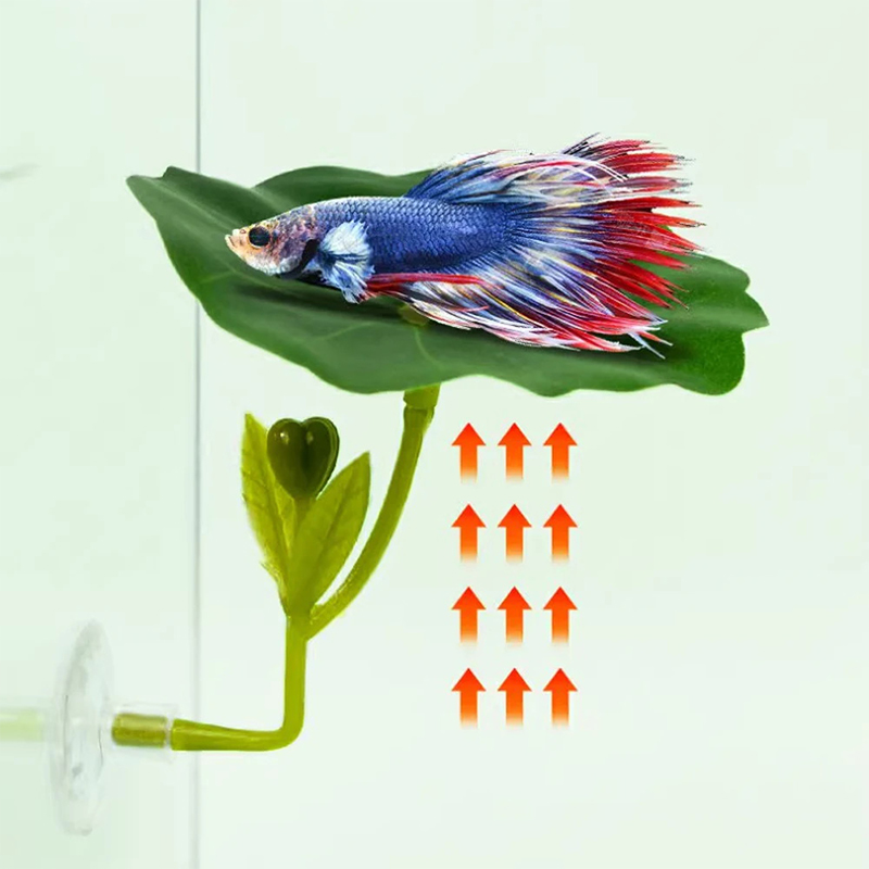 ベタ魚用ストレス軽減水槽安全装飾品1個、水槽用吸盤付きフェイ - Planted Aquarium Betta のレビューと価格