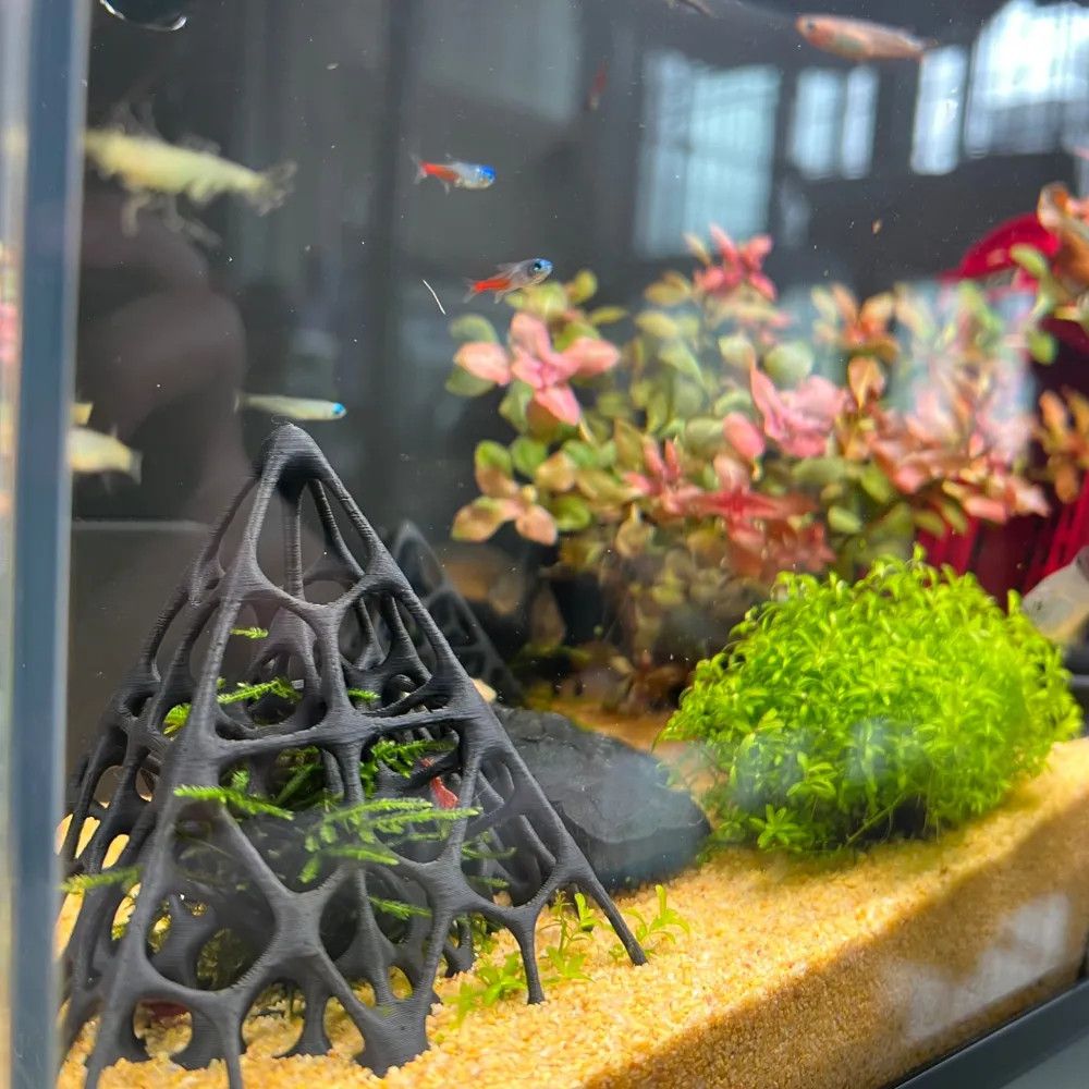 3Dプリントされたピラミッド型の魚とエビの隠れ家、水槽の装飾 - Aquarium Plant Grass のレビューと価格