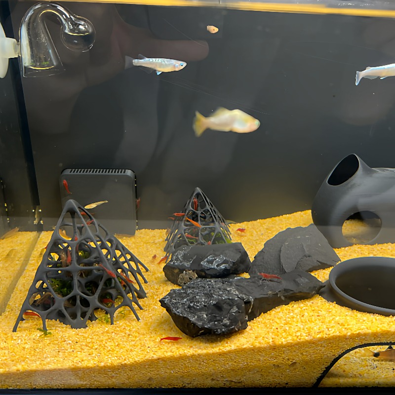 3Dプリントされたピラミッド型の魚とエビの隠れ家、水槽の装飾 - Aquarium Plant Grass のレビューと価格