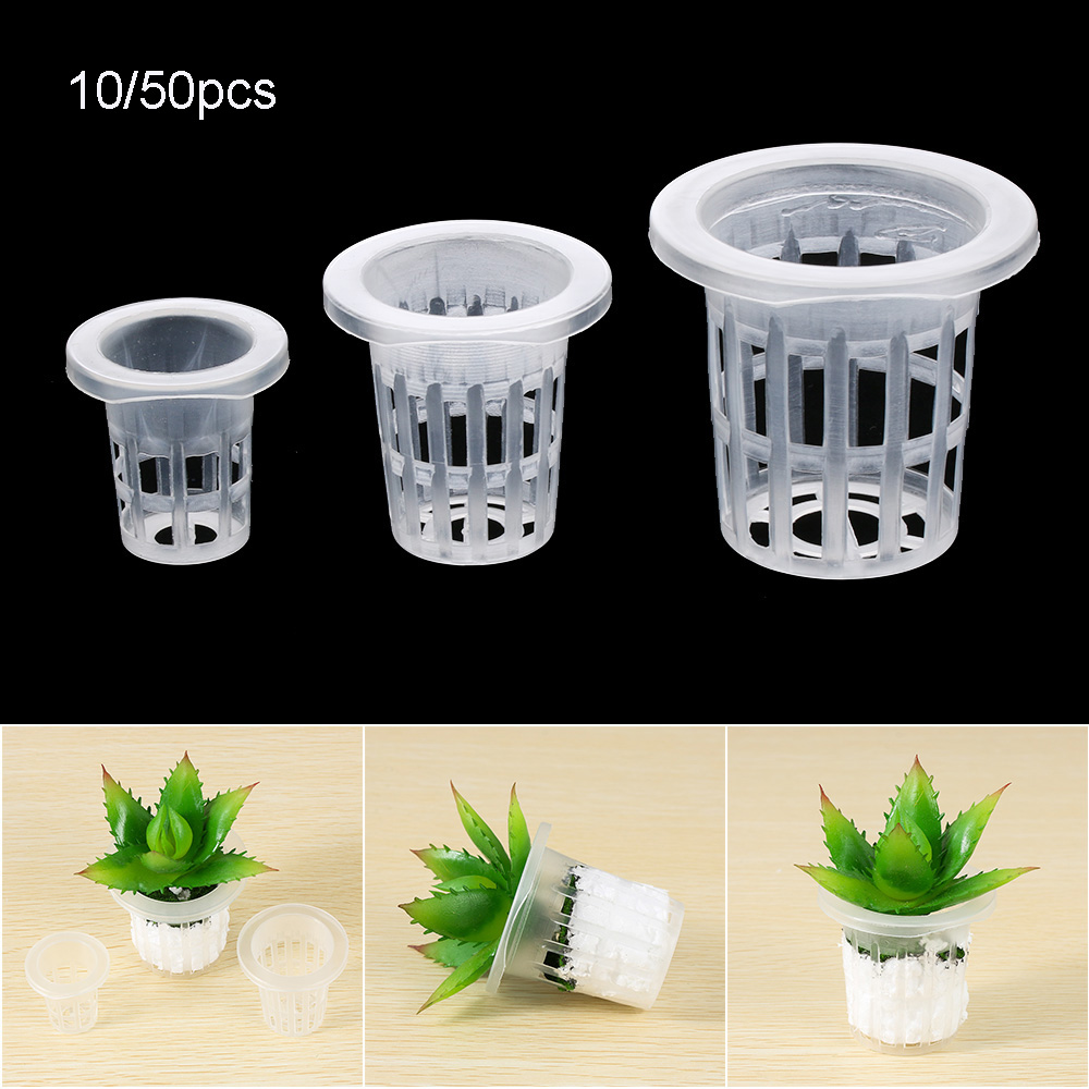 10/50 個ガーデン用品植栽水族館栽培保育園スポンジ植栽バ - Aquarium Plant Seeds のレビューと価格