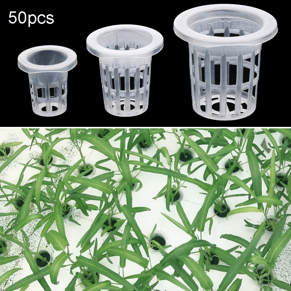 10/50 個ガーデン用品植栽水族館栽培保育園スポンジ植栽バ - Aquarium Plant Seeds のレビューと価格