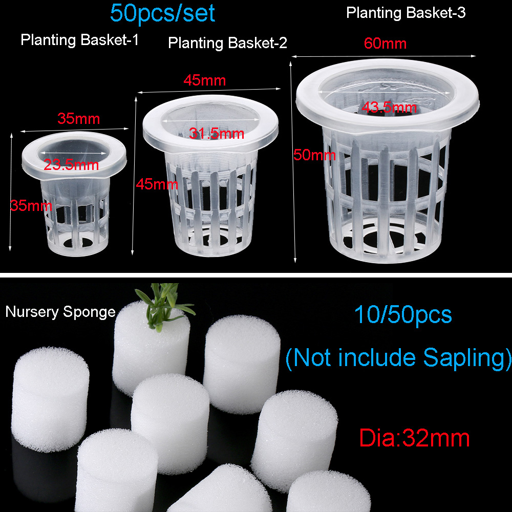 10/50 個ガーデン用品植栽水族館栽培保育園スポンジ植栽バ - Aquarium Plant Seeds のレビューと価格